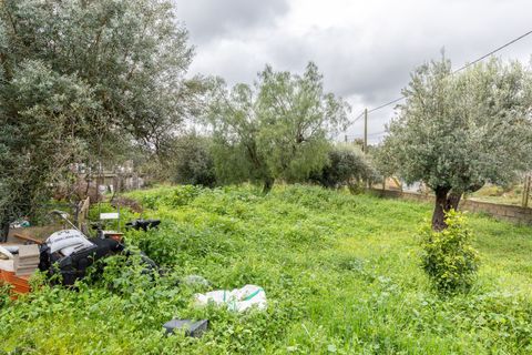 Rækkehus i Vilamarxant, Valencia, Vilamarxant - € 120.000 | Ref: 8c3b1fec-475f-4219-8 - foto 25