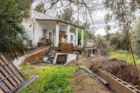 Rækkehus i Vilamarxant, Valencia, Vilamarxant - € 120.000 | Ref: 8c3b1fec-475f-4219-8 - foto 26