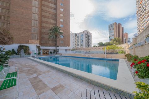 Lejlighed i Benidorm, Alicante, Benidorm - € 440.000 | Ref: a8446388-9254-4e1e-a - foto 37