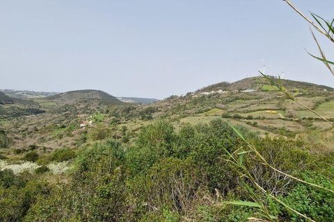 Helårsgrund i Mafra, Lisbon, Mafra - € 26.000 | Ref: 830540 - foto 5