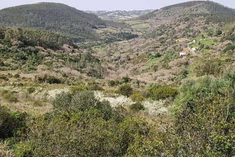 Helårsgrund i Mafra, Lisbon, Mafra - € 26.000 | Ref: 830540 - foto 1