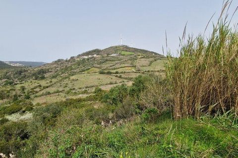 Helårsgrund i Mafra, Lisbon, Mafra - € 26.000 | Ref: 830540 - foto 7