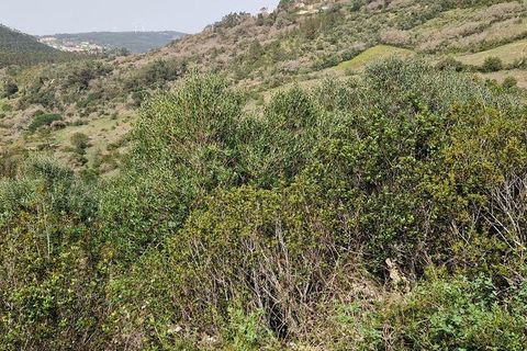 Helårsgrund i Mafra, Lisbon, Mafra - € 26.000 | Ref: 830540 - foto 8