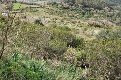 Helårsgrund i Mafra, Lisbon, Mafra - € 26.000 | Ref: 830540 - foto 9
