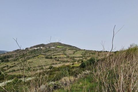 Helårsgrund i Mafra, Lisbon, Mafra - € 26.000 | Ref: 830540 - foto 12