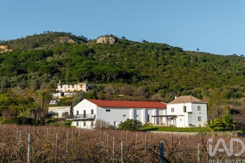Farm i Setubal, Setubal, Setubal - € 3.900.000 | Ref: 820931 - foto 2