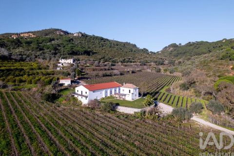 Farm i Setubal, Setubal, Setubal - € 3.900.000 | Ref: 820931 - foto 3