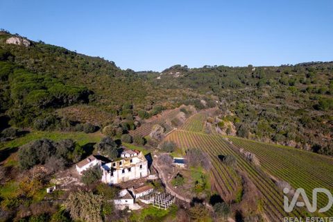 Farm i Setubal, Setubal, Setubal - € 3.900.000 | Ref: 820931 - foto 4