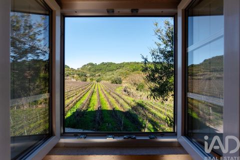 Farm i Setubal, Setubal, Setubal - € 3.900.000 | Ref: 820931 - foto 24