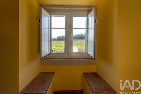 Farm i Setubal, Setubal, Setubal - € 3.900.000 | Ref: 820931 - foto 31