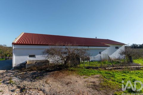 Farm i Setubal, Setubal, Setubal - € 3.900.000 | Ref: 820931 - foto 32