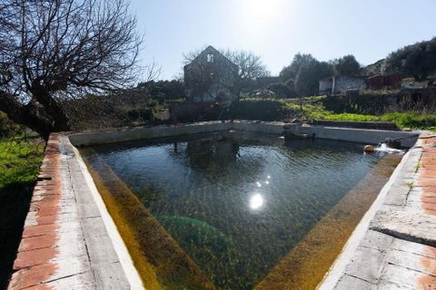 Farm i Setubal, Setubal, Setubal - € 3.900.000 | Ref: 820931 - foto 37