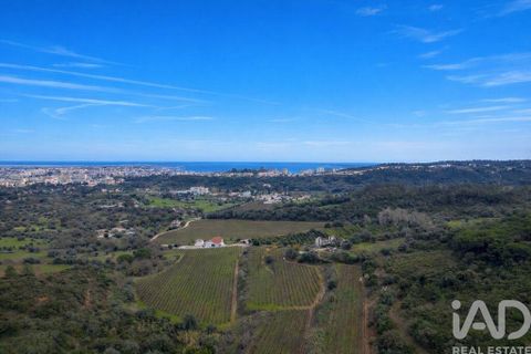 Farm i Setubal, Setubal, Setubal - € 3.900.000 | Ref: 820931 - foto 39