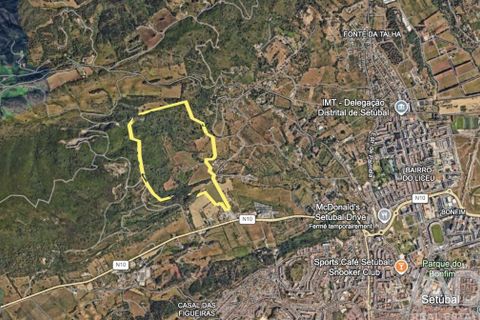 Farm i Setubal, Setubal, Setubal - € 3.900.000 | Ref: 820931 - foto 40
