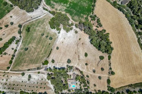 Landejendom i Peguera, Mallorca, Peguera - € 1.200.000 | Ref: 1110 - foto 27
