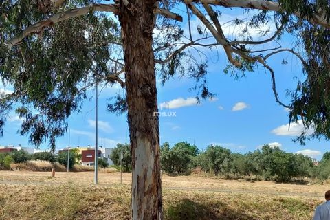 Tomt i Elvas, Portalegre, Elvas - € 62 500 | Ref: ITH4126 - foto 10