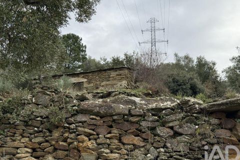Farm i Armamar, Viseu, Armamar - € 595.000 | Ref: 836425 - foto 3