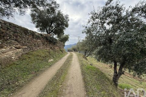Farm i Armamar, Viseu, Armamar - € 595.000 | Ref: 836425 - foto 4