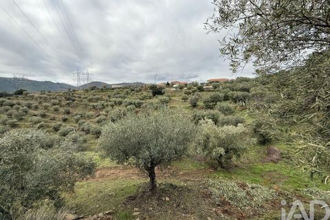 Farm i Armamar, Viseu, Armamar - € 595.000 | Ref: 836425 - foto 5