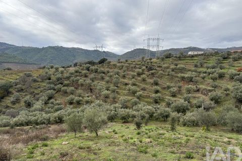 Farm i Armamar, Viseu, Armamar - € 595.000 | Ref: 836425 - foto 8