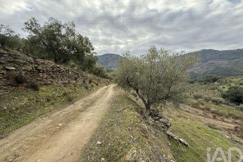 Farm i Armamar, Viseu, Armamar - € 595.000 | Ref: 836425 - foto 10