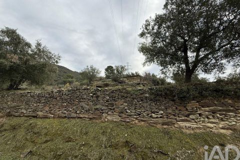 Farm i Armamar, Viseu, Armamar - € 595.000 | Ref: 836425 - foto 11