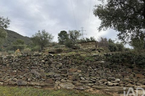 Farm i Armamar, Viseu, Armamar - € 595.000 | Ref: 836425 - foto 12