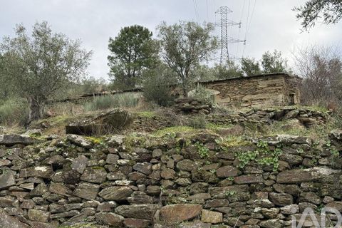 Farm i Armamar, Viseu, Armamar - € 595.000 | Ref: 836425 - foto 13