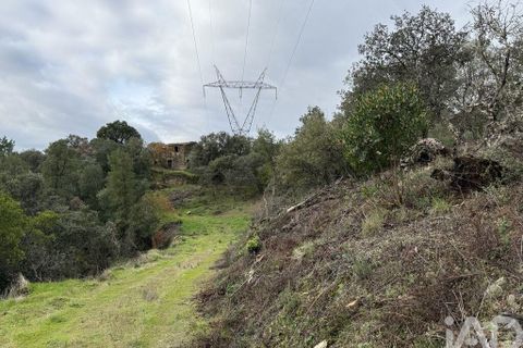 Farm i Armamar, Viseu, Armamar - € 595.000 | Ref: 836425 - foto 15