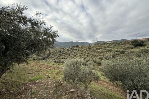 Farm i Armamar, Viseu, Armamar - € 595.000 | Ref: 836425 - foto 17