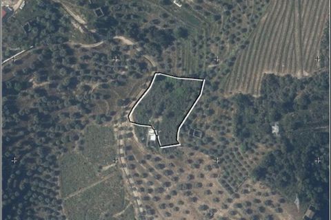 Farm i Armamar, Viseu, Armamar - € 595.000 | Ref: 836425 - foto 20