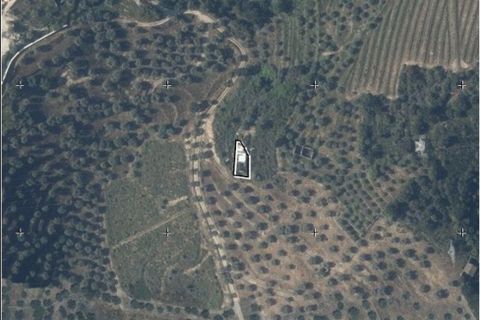 Farm i Armamar, Viseu, Armamar - € 595.000 | Ref: 836425 - foto 22