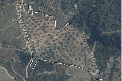 Farm i Armamar, Viseu, Armamar - € 595.000 | Ref: 836425 - foto 23