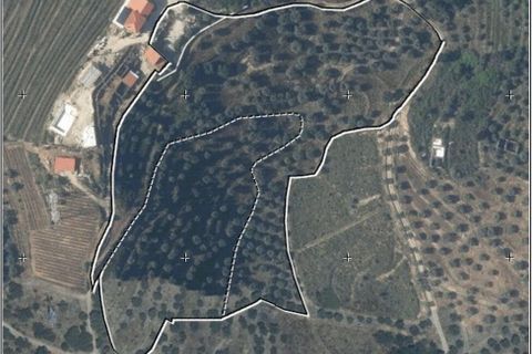 Farm i Armamar, Viseu, Armamar - € 595.000 | Ref: 836425 - foto 24