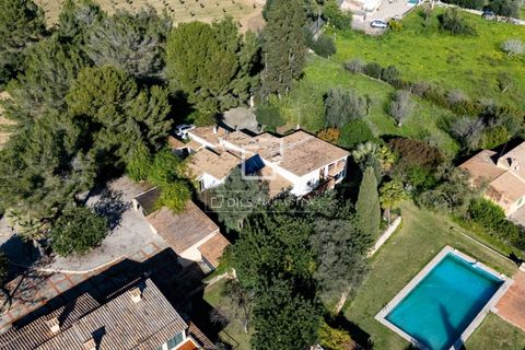Villa a Establiments, Mallorca, Establiments - € 1.395.000 | Ref: MAL67245 - foto 26