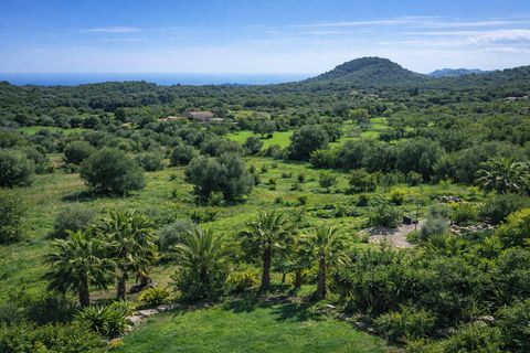 Masia a Arta, Mallorca, Arta - € 3.200.000 | Ref: KPNO927 - foto 18