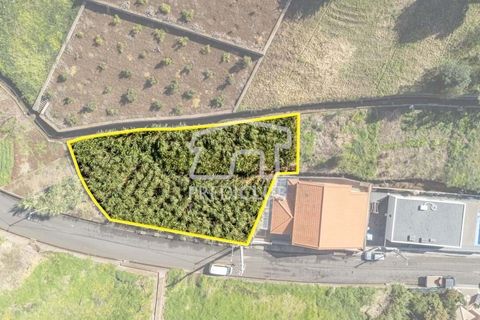 Helårsgrund i Calheta, Madeira, Calheta - € 106.000 | Ref: 11586-2-EDS - foto 3