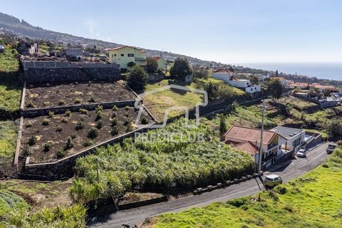 Helårsgrund i Calheta, Madeira, Calheta - € 106.000 | Ref: 11586-2-EDS - foto 6