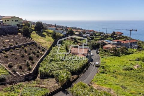 Helårsgrund i Calheta, Madeira, Calheta - € 106.000 | Ref: 11586-2-EDS - foto 7