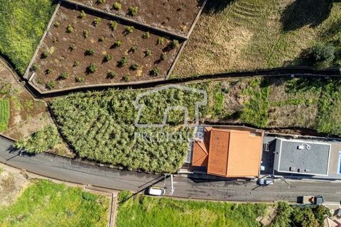 Helårsgrund i Calheta, Madeira, Calheta - € 106.000 | Ref: 11586-2-EDS - foto 12