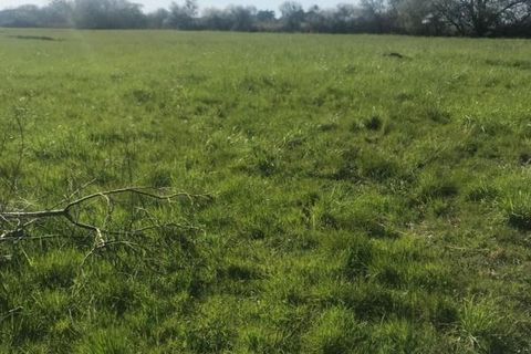 Terra a Genets, Manche, Genets - € 19.500 | Ref: 199914 - foto 4
