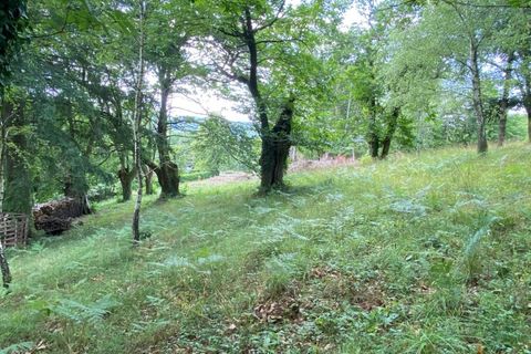 Helårsgrund i Tulle, Correze, Tulle - € 19.000 | Ref: 190904 - foto 2