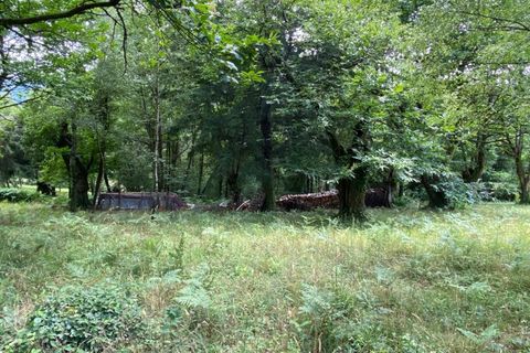Helårsgrund i Tulle, Correze, Tulle - € 19.000 | Ref: 190904 - foto 3