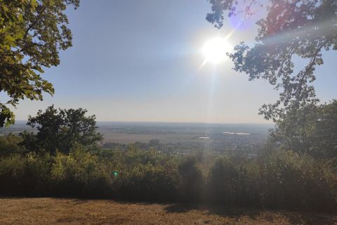 Terra a Grisolles, Tarn-et-Garonne, Grisolles - € 121.000 | Ref: 198742 - foto 2