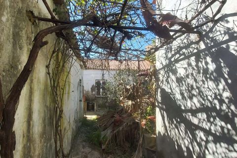 Villa em Beja, Beja, Beja - € 117.500 | Ref: C0486-00229 - foto 28