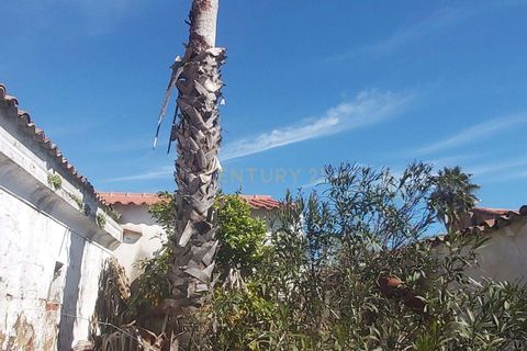 Villa em Beja, Beja, Beja - € 117.500 | Ref: C0486-00229 - foto 29