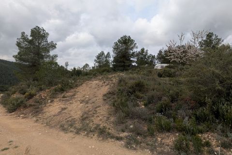 Finca a Caseres, Tarragona, Caseres - € 12.000 | Ref: Wca - foto 14