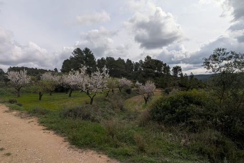 Finca a Caseres, Tarragona, Caseres - € 12.000 | Ref: Wca - foto 5
