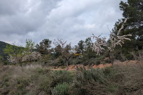 Finca a Caseres, Tarragona, Caseres - € 12.000 | Ref: Wca - foto 10
