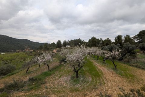 Finca a Caseres, Tarragona, Caseres - € 12.000 | Ref: Wca - foto 13
